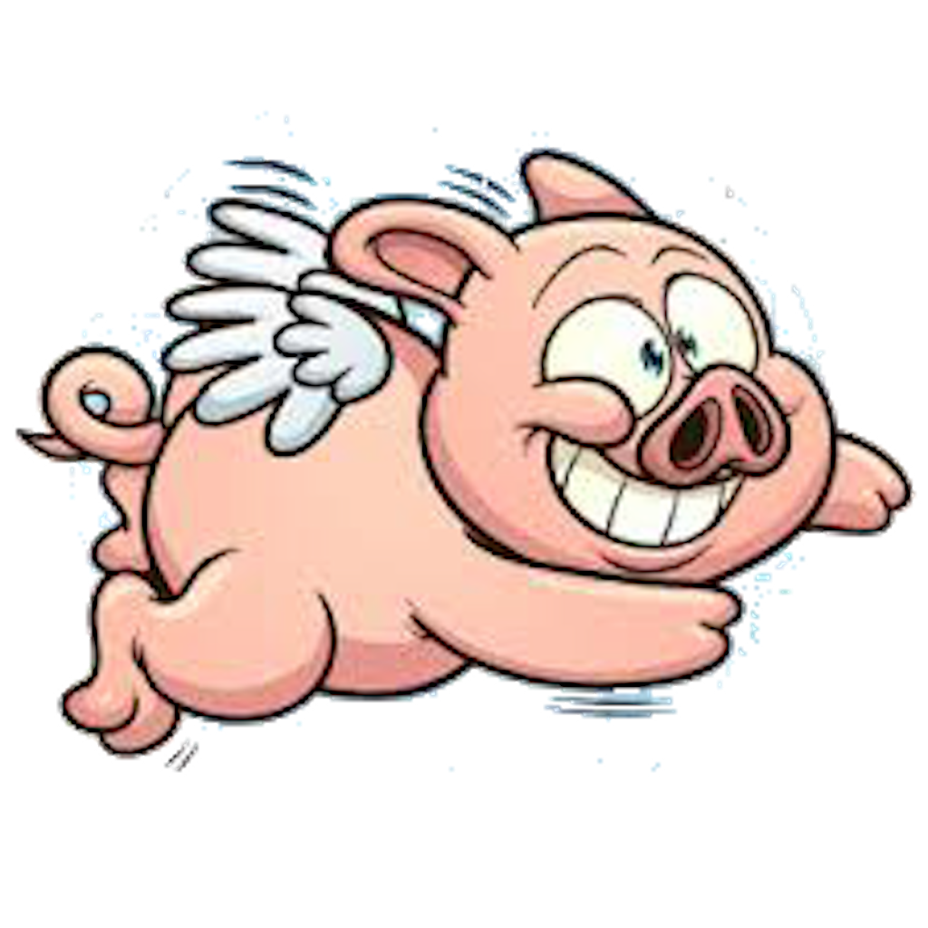 Flying Pig